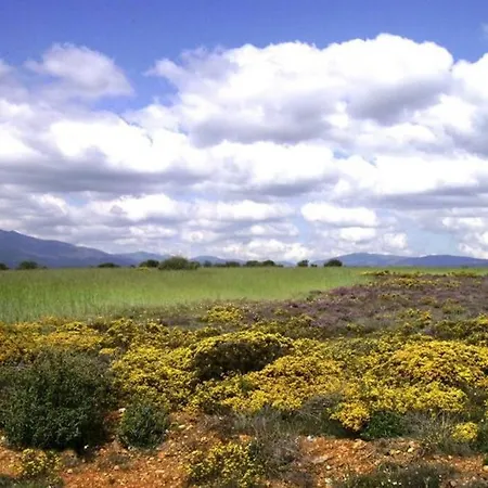 Holiday home Casa Camarga