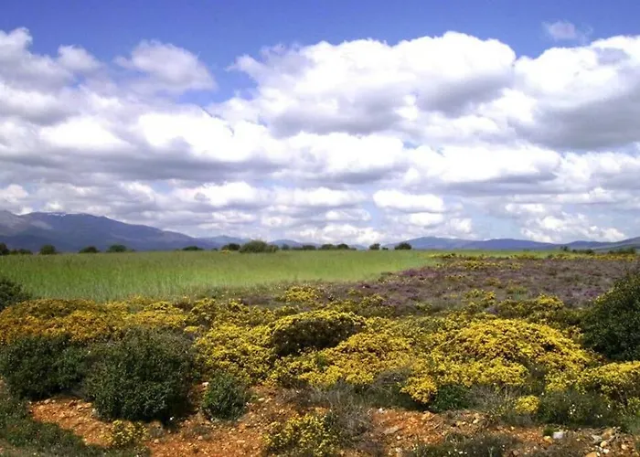 Сasa de vacaciones Casa Camarga